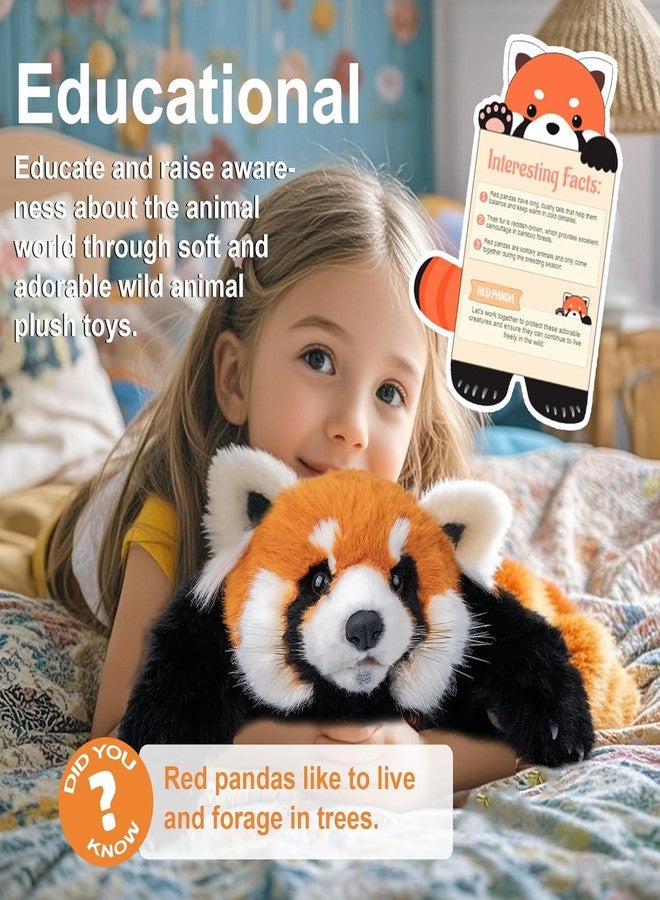 Chongker Cute Red Panda Plush Toy, Weighted Stuffed Animals, Red Panda Plush Animals Collection, Handmade Like Real, Large Size Stuffed Animals - Image 3